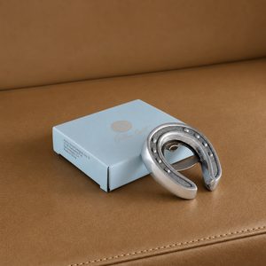Horseshoe Bottle Opener 5