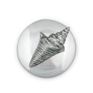 Shell Napkin Weight 15
