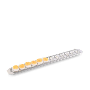 Arthur Court Classic / Engravable Long Beaded Metal Deviled Egg Holder