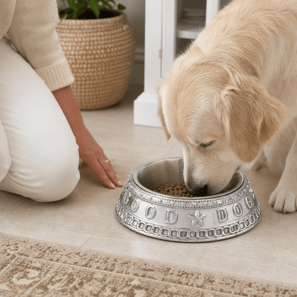 Arthur Court Pet Dog Feeding Bowl Good Dog Crown