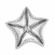 Starfish Catchall